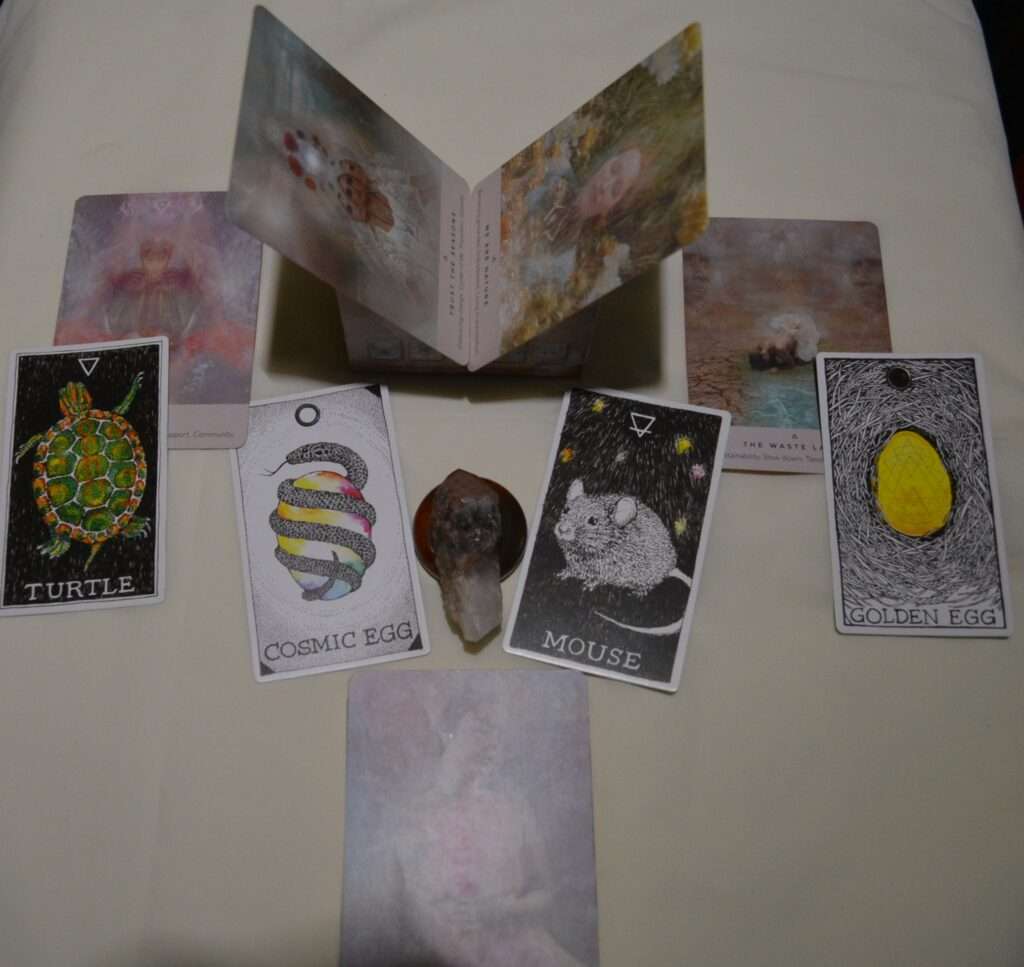 8+ Oracle Card Reading