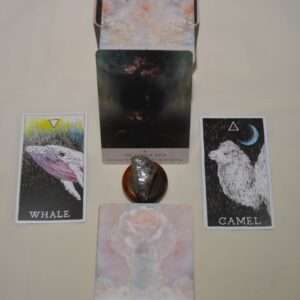 5+Oracle Card Reading