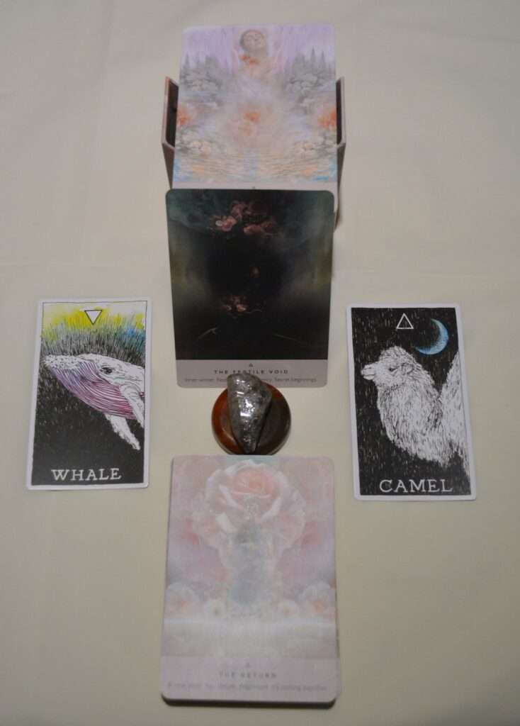 5+Oracle Card Reading